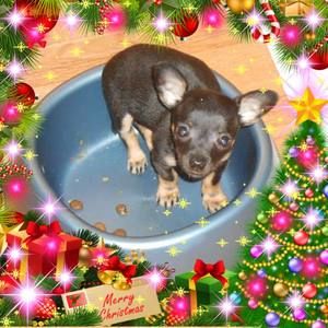 Meet your Posher, Charlene